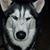 William Lundberg's profile image