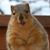 Amy Sheldon Gonte's profile image