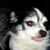 Melissa Mcpeak Oneal's profile image