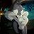 Kathleen Marie Phipps's profile image