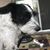 Denise Schlyer's profile image