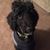 Sheryl Anne's profile image