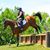 Sara McCullough's profile image