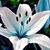 Sharon Cooksey's profile image