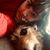 Elizabeth Sowden's profile image