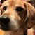 John Lemke's profile image