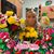 Tanya Van Horn's profile image