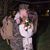 PaigeAnn Elizabeth Kizina's profile image