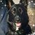 Michael Graski's profile image