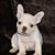 Lorna Hite Dismang's profile image