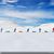 Yaser Alshammaa's profile image