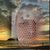 Rhonda Fulcher's profile image