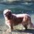 Sara Beth Hodge's profile image