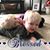 Melinda Metz Rosenow's profile image