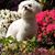 Ann Henderson Mullins's profile image