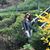 Jessica Barragan-Rodriguez's profile image
