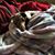 Rita Mikels's profile image