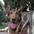Jose Gallegos's profile image
