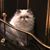 Mary Simmons Myers's profile image