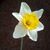 Meghan Herman's profile image