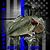 Chuck Rumsey's profile image