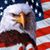 William Bow Bowman Jr.'s profile image
