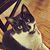 Cynthia Willard's profile image