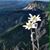Trudy Romer's profile image