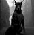 Eddie Dilbeck's profile image