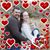 Brittany N Cody Brown's profile image