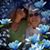 Kate Berger's profile image