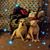 Sheri Nichols's profile image