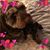 Linda Sprague Roberts's profile image