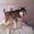 Michelle Stesney-Moderwell's profile image