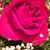 Elena Cerdita's profile image
