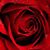 Nicole Baker's profile image