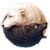 Wolfs Homies Skulls's profile image