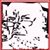Jim Cordes's profile image