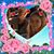 Barbro Rörstrand's profile image