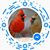 Barry Wyner's profile image