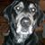 Kelly Kauth's profile image