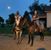 Debra Payne Hill's profile image