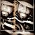 Tommie Terrell's profile image