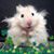 July Wolfe's profile image