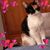 Melanie Williams's profile image