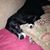Tricia McGary Williams's profile image