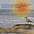 Cerca Trova's profile image