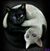 Sherry Taylor's profile image