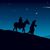 Pam Bartz's profile image
