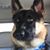 Mary Rusch's profile image